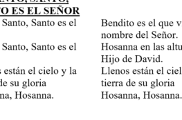 santo-santo-santo-santo-es-el-senor